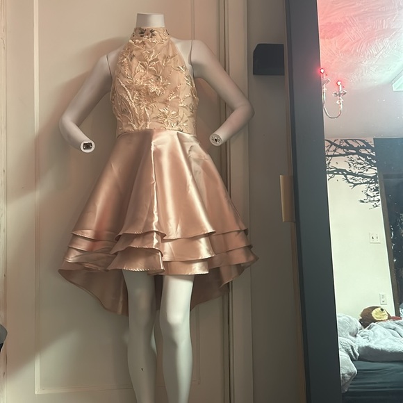 NWT Le Chateau high low fit flare blush pink embroidered mesh satin skater dress - Picture 2 of 7